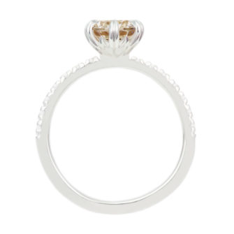 Champagne Moissanite Engagement Ring Half Eternity Pavé - Image 2